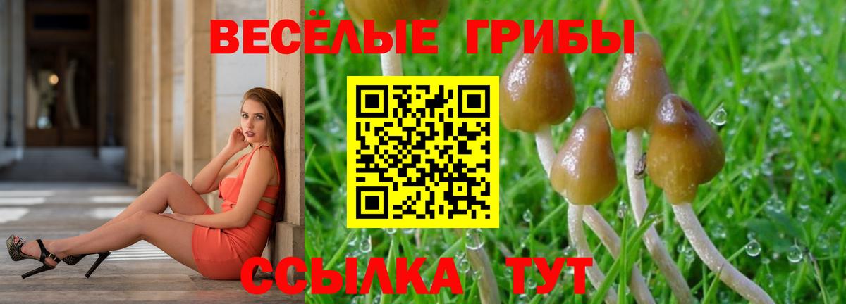 Псилоцибиновые грибы Magic Shrooms Лабытнанги